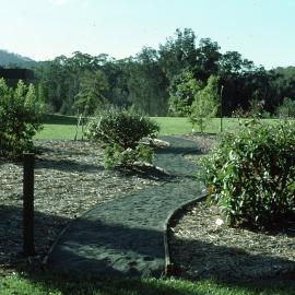Tibouchina Walk at the Regional Botanic Garden