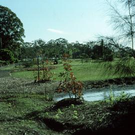Small lake in North America section in the North Coast Regional Botanic Garden
