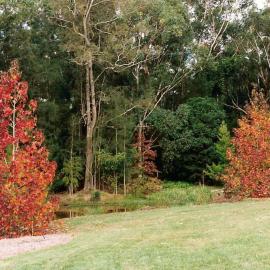 Small lake in the North America section in the North Coast Regional Botanic Garden
