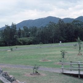 The newly planted India sections in the North Coast Regional Botanic Garden