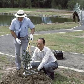 Sasebo sister city visitors planting tree in the North Coast Regional Botanic Garden