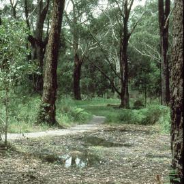 The site for the Regional Botanic Garden's public display area