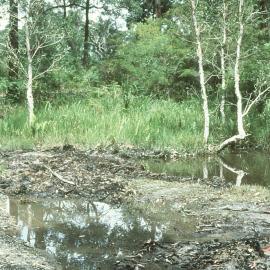 Early work on the public display area for the North Coast Regional Botanic Garden