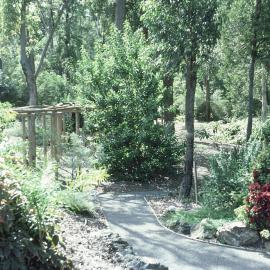Path and pergola in the public display area of the North Coast Regional Botanic Garden