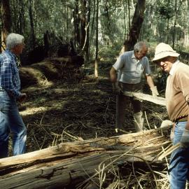 Clearing the rainforest area in the North Coast Regional Botanic Garden, 1988