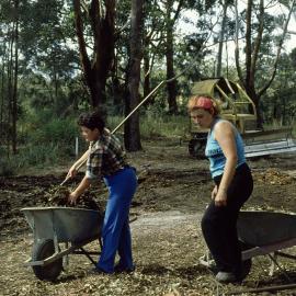 Building tracks through the rainforest in the North Coast Regional Botanic Garden