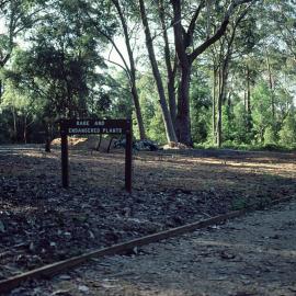Preparation for the rare and endangered section in the North Coast Regional Botanic Garden