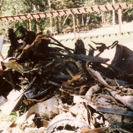 Rubbish cleared to build the sensory garden in the North Coast Regional Botanic Garden, 1980s