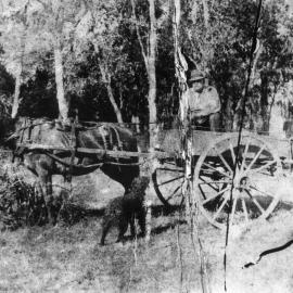 Clarrie Bailey with horse and cart