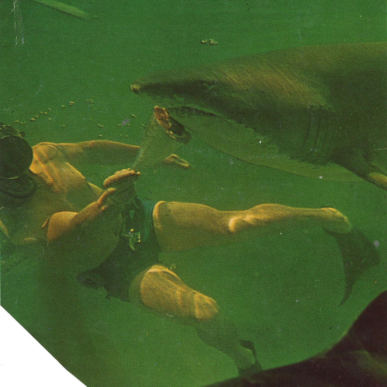 Hec Goodall Interview, Part 2