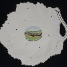 Souvenir plate