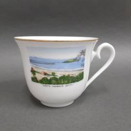 Souvenir Cup