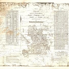 Land portions in Parishes of Wongawanga and Coff, 1884