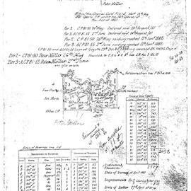 Tracing of portion 2 & 3, Parish of Coff, 1881