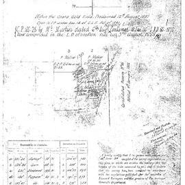 Tracing of portion 31, Parish of Coff, 1884