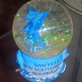 Souvenir Snow Globe