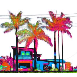 Coastal Palms