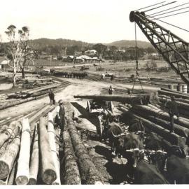 Timber Mill, Woolgoolga, 1929