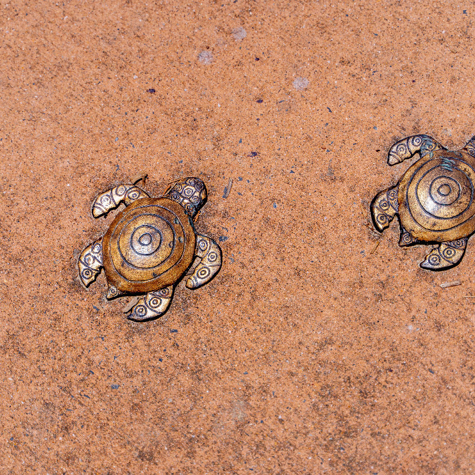 Bronze turtle sculptures, Coffs Harbour Jetty