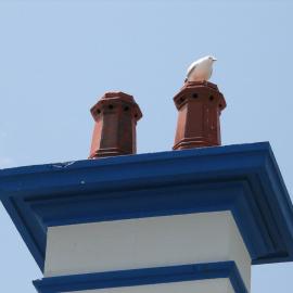 Cottage chimney and seagull, South Solitary Island, 2007