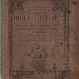 Illustrated Bible History, 1905