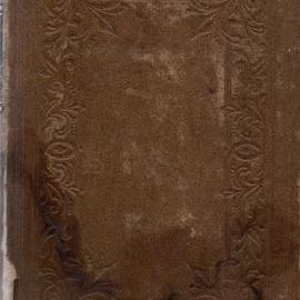 The Home Hand-Book of Domestic Hygiene and Rational Medicine, 1899