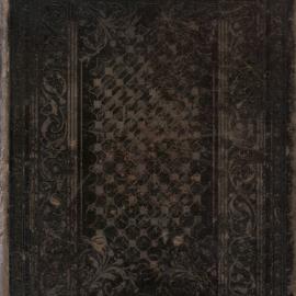 The Practical Home Physician and Encyclopedia of Medicine, c. 1900