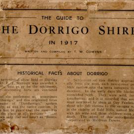 The Guide to Dorrigo Shire in 1917