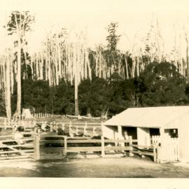 Friday Creek farm shed and animal holding pens