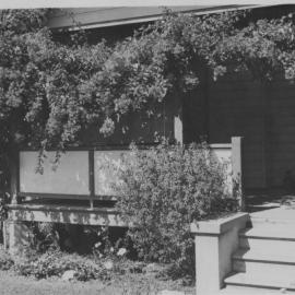 Verandah and vine at Mrs Hamilton's home on Coramba Road, 1957