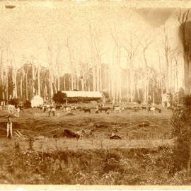 The Hardacre farm and ornithopter, c.1905