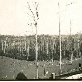 Panorama from Goslings Hill