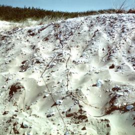 Midden
