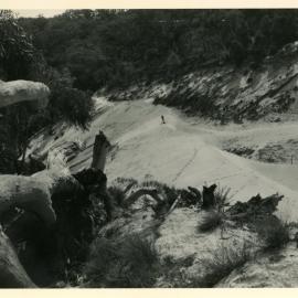 Sand dune