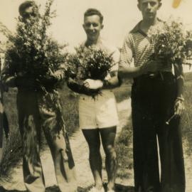 Presentation of Wildflowers Red Rock 1940