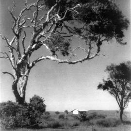 First House on the Plain, Red Rock