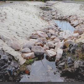 Corfe Street Water Course (Jurrie Creek) Red Rock 2009