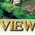 Murray Views