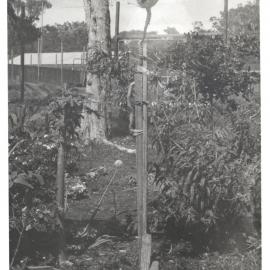 Mrs Ford's garden at Sawtell Legacy Units, 1970