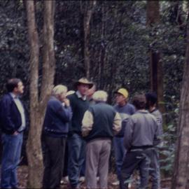 Group in forest