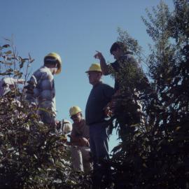 Group in bushland, April 1995