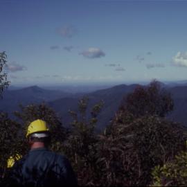 Forested hills, April 1995
