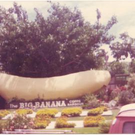 The Big Banana, 22 January 1978