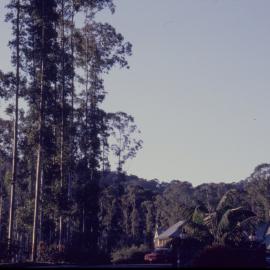 Clubhouse and gum trees at Bonville International Golf Course