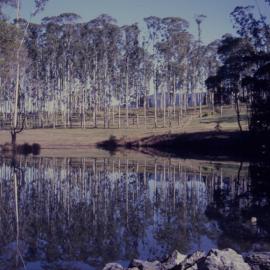 Lake at Bonville International Golf Course