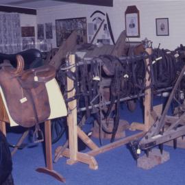 Saddle and bridle display, Coffs Harbour Regional Museum