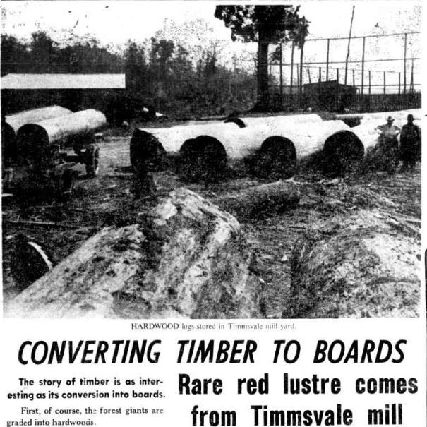 Dick Harrison Interview