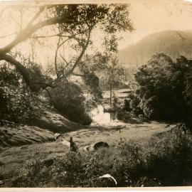 Orara River, March 1928