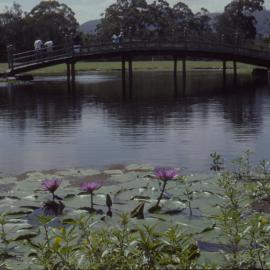 Bridge and lake, North Coast Regional Botanic Garden
