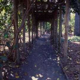 Arbour, North Coast Regional Botanic Garden